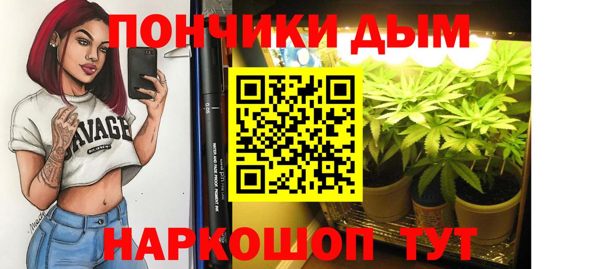 Бошки Шишки семена  Марихуана индика  Канабис план  Ногинск  Вход с VPN 